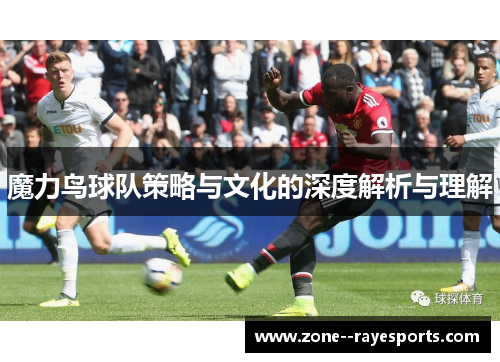 魔力鸟球队策略与文化的深度解析与理解